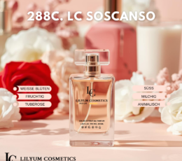 288C. LC Soscanso