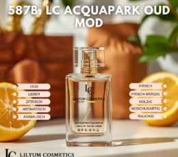 587B. LC Acquapark Oud Mod