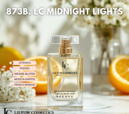 873B. LC Midnight Lights